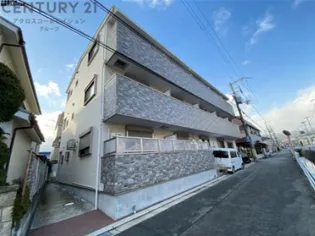 コンフォートMの画像