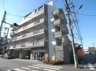 ステイゴールドの画像