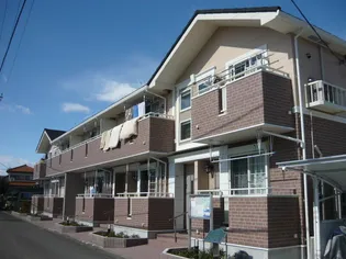 神奈川県綾瀬市蓼川1【アパート】の外観