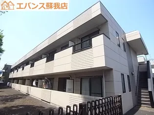 ピースコートの画像