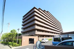 グレーシィ茨木の画像