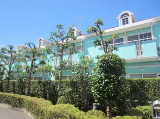 セルバハイツの画像