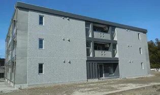 グラン・フェリシア【3階】の外観