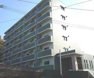ペパーミントの画像