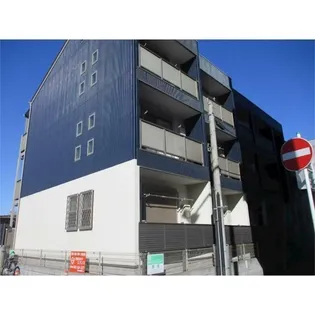 サイプレスの画像