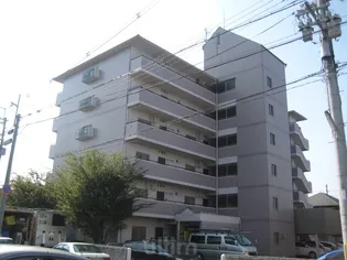 パレトールの画像