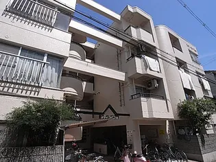 サンフェスタの画像