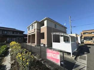 サンフィットフジマンCの画像