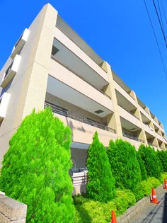 ウィステリアの画像