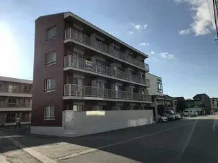 コーポ石金【2階】の外観