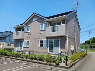 シャロン石井IIの画像