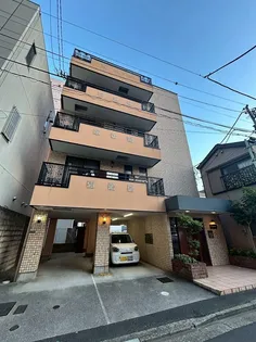 アンプルミエールの画像