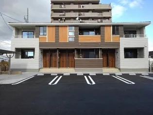 プラシードVIの画像