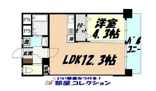 アヴァンセ片野グランデ【8階】の間取り