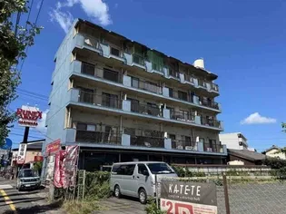 コスモス畑Aの画像