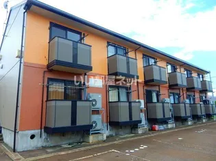 エヴァーグリーンの画像