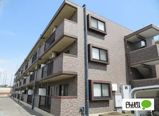 パオ ヤマニシの画像