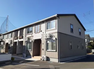 グリーン 南天の画像