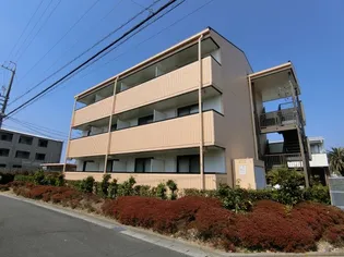 フォルトーナの画像