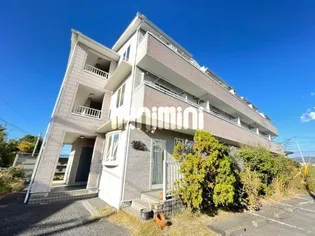 ピュアコート すみれの画像