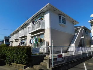 サンウッドの画像