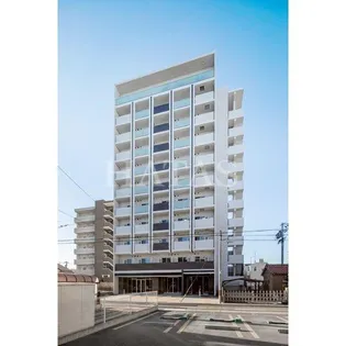 NEUA NARUMIの画像