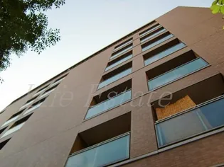 センエイ谷四の画像