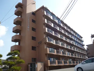 コーポラス元島13の画像