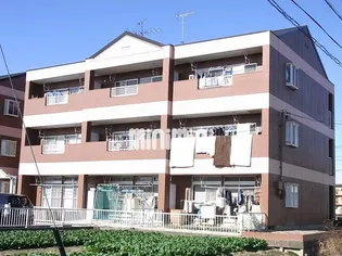 ベジタブルハイム Aの画像