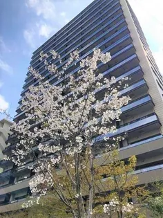 ザ ガーデンテラス目黒の画像