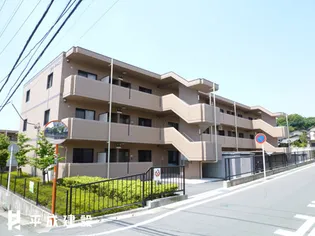 グリーングラスNの画像