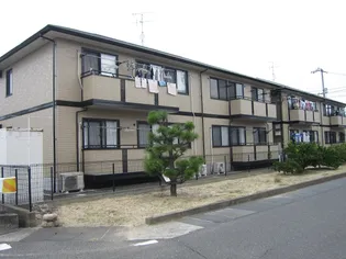 ルピナス21の画像