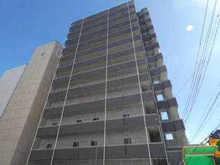 PALMSの画像