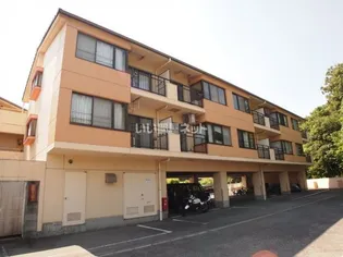 アイビス小絹 A【1階】の外観