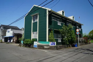 グリーン若葉の画像