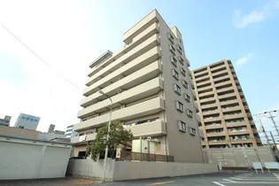 ミレニアムの画像