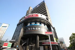 パレグレース中筋の画像