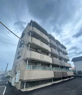 アミリアコートの画像