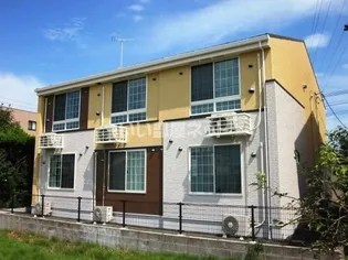 プリムローズの画像