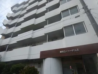 第16ユーセードムスの画像