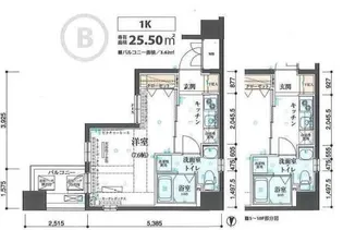 リヴシティ両国壱番館【10階】の間取り