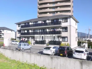 SUN WAKAYAMAの画像