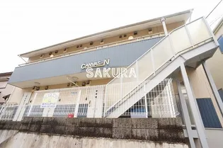 CANVAS Nの画像