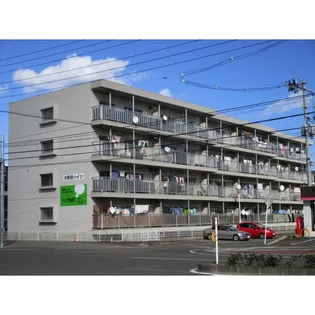 大野田ハイツの画像