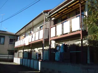 シャーンティ粟屋の画像