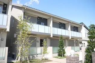 アミプラーサ Bの画像