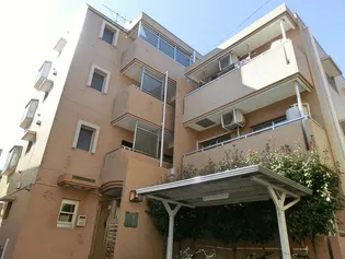 どみしるまーさ東館の画像