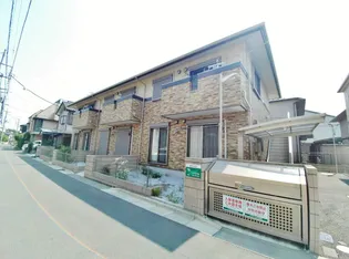 オリーブの画像