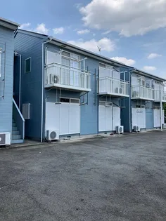 ブランコートの画像