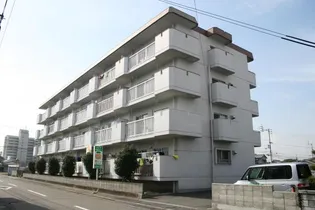 ミラベール林の画像